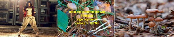 таблы Беломорск