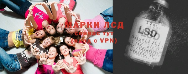 крисы Белокуриха