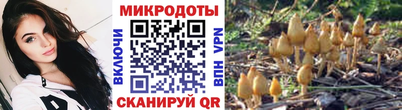 купить наркотик  Валуйки  Псилоцибиновые грибы ЛСД 